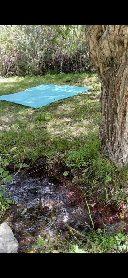 Sernang Homestay Hundar Kültér fotó