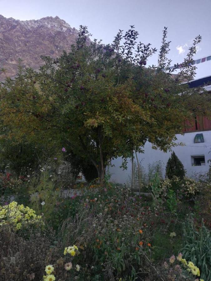 Sernang Homestay Hundar Kültér fotó